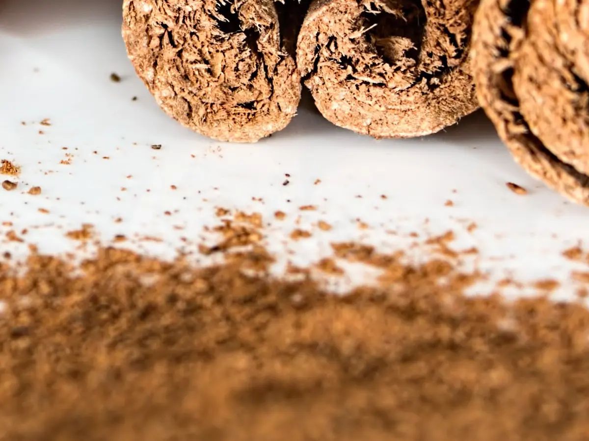 Cinnamon powder (Dalchini powder) Exporter