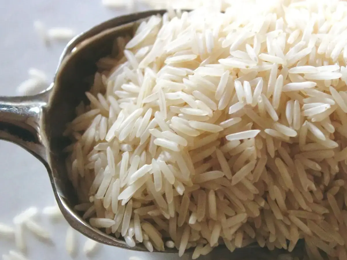 Rice (Chawal) bulk export product
