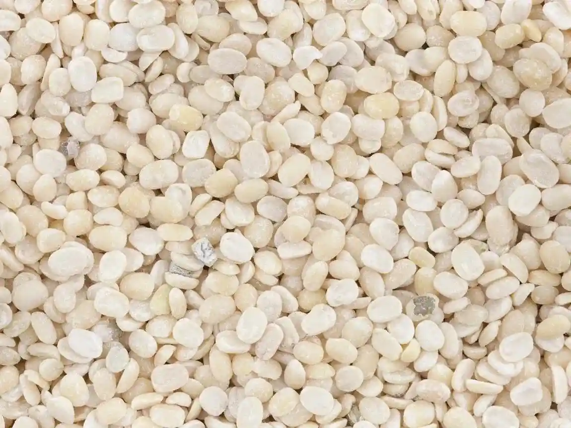 Black Gram (Urad dal) bulk export product